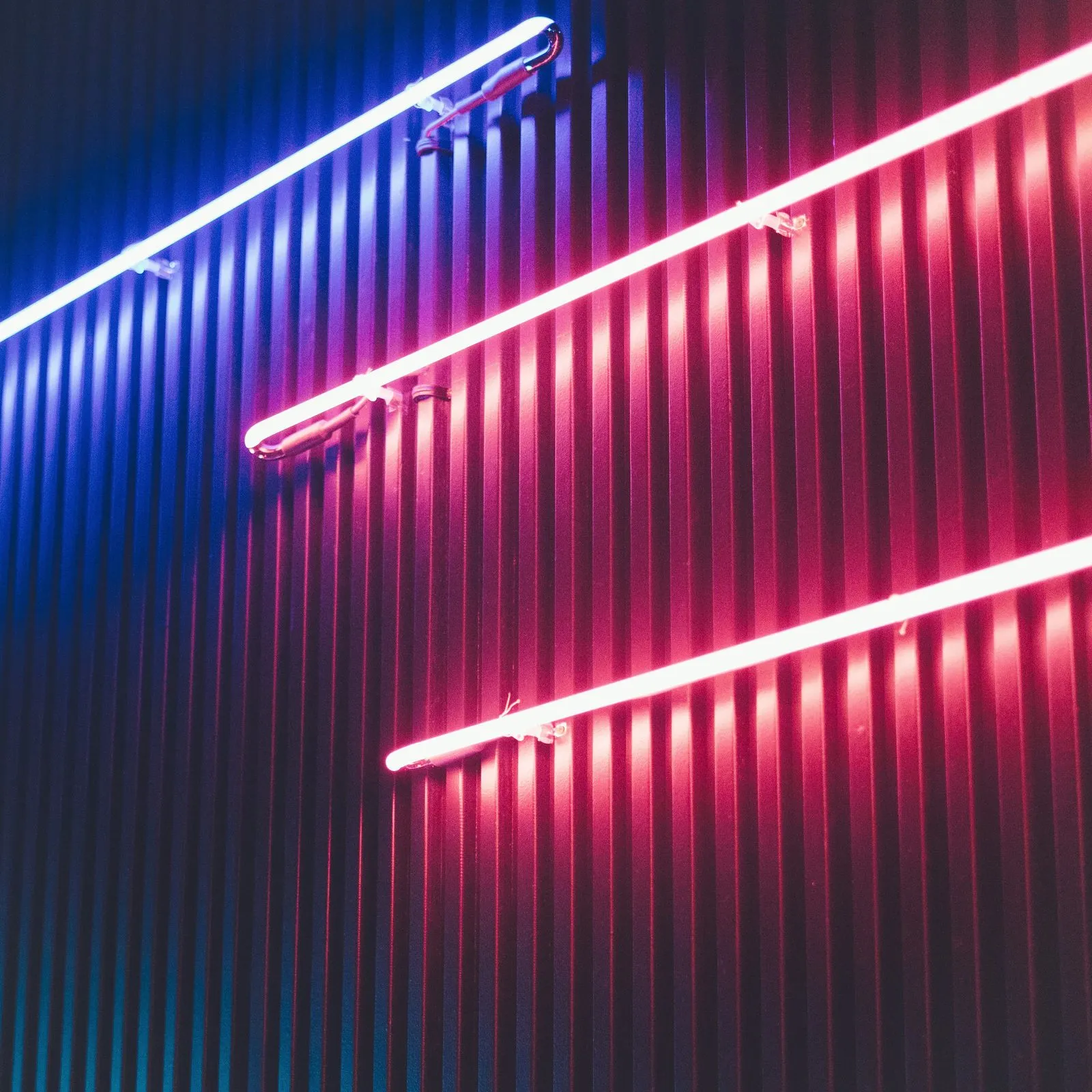 Leuchtröhren in Blau und Rot an einer dunklen Wand